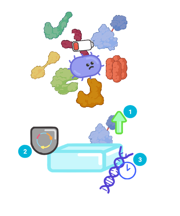 UBC BIOMOD